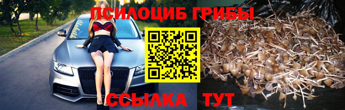 Галлюциногенные грибы прущие грибы  Псилоцибиновые грибы прущие грибы  Вход с VPN  Севастополь 